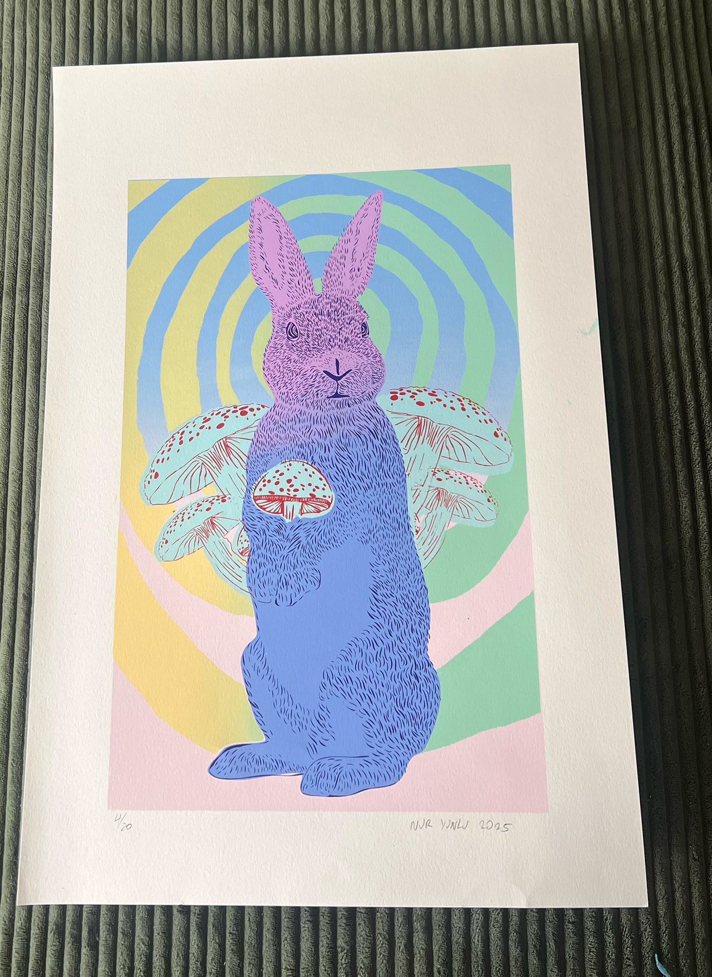 Bunny