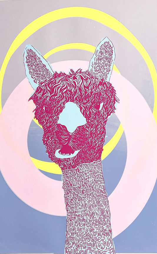 Alpaca