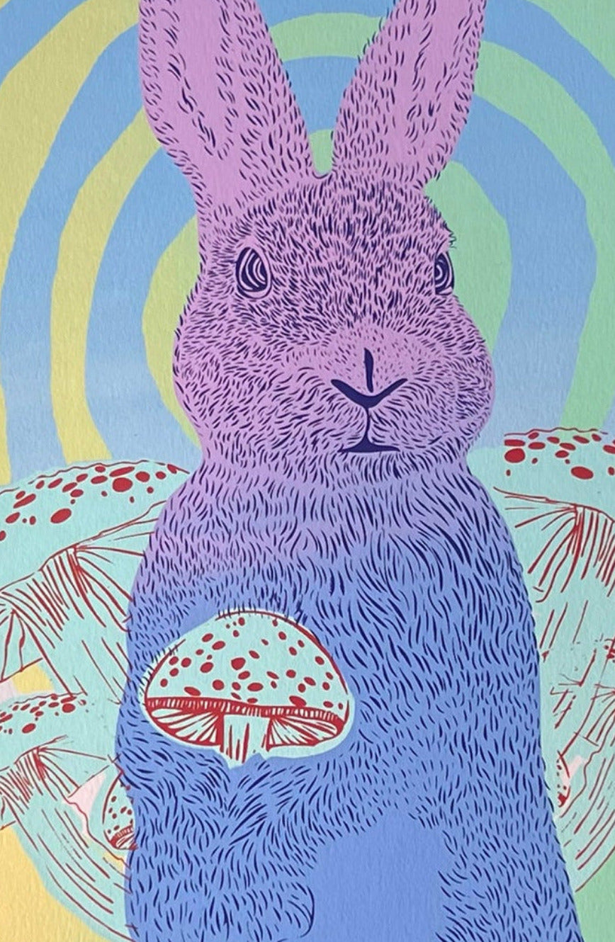 Bunny