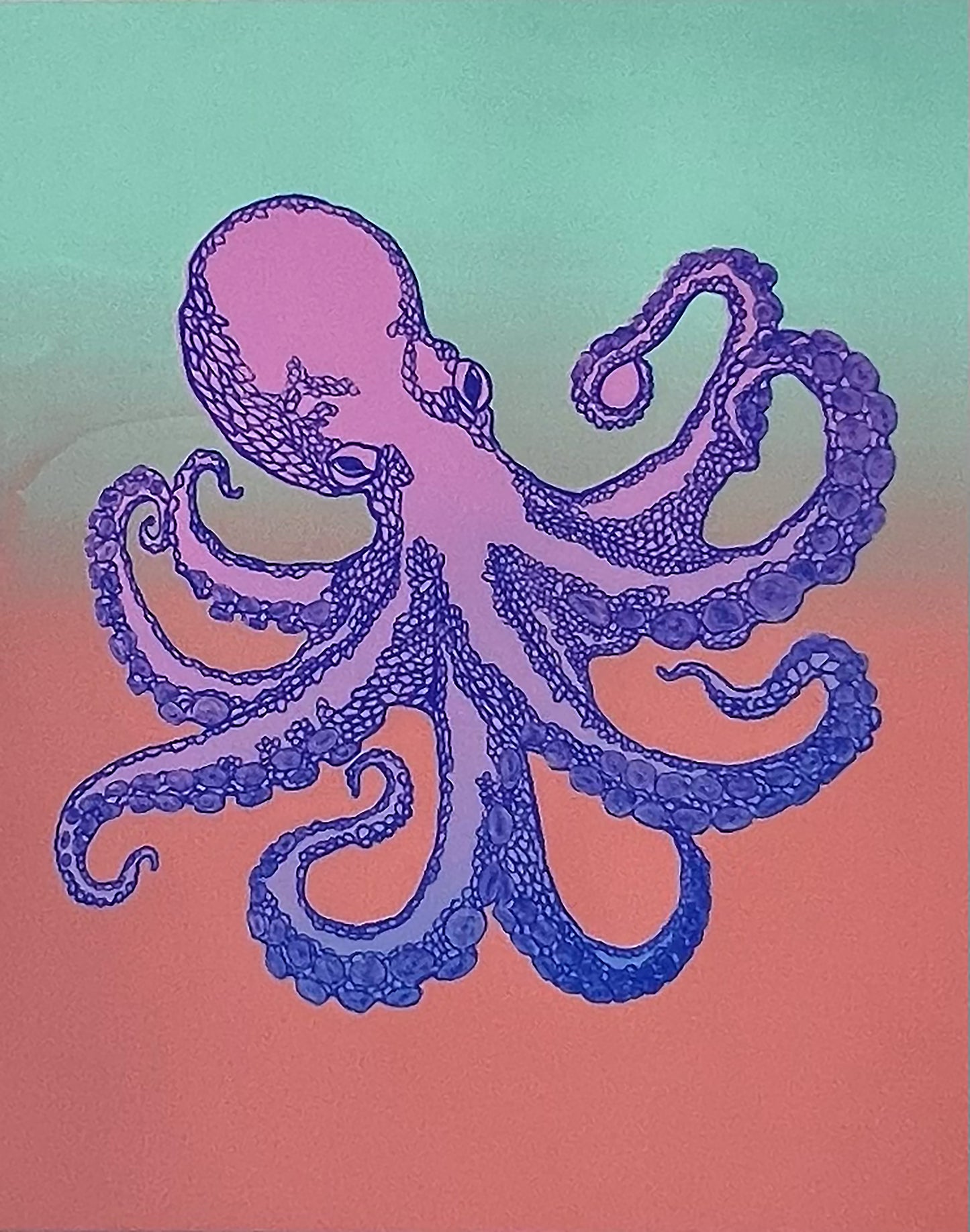 Octopus