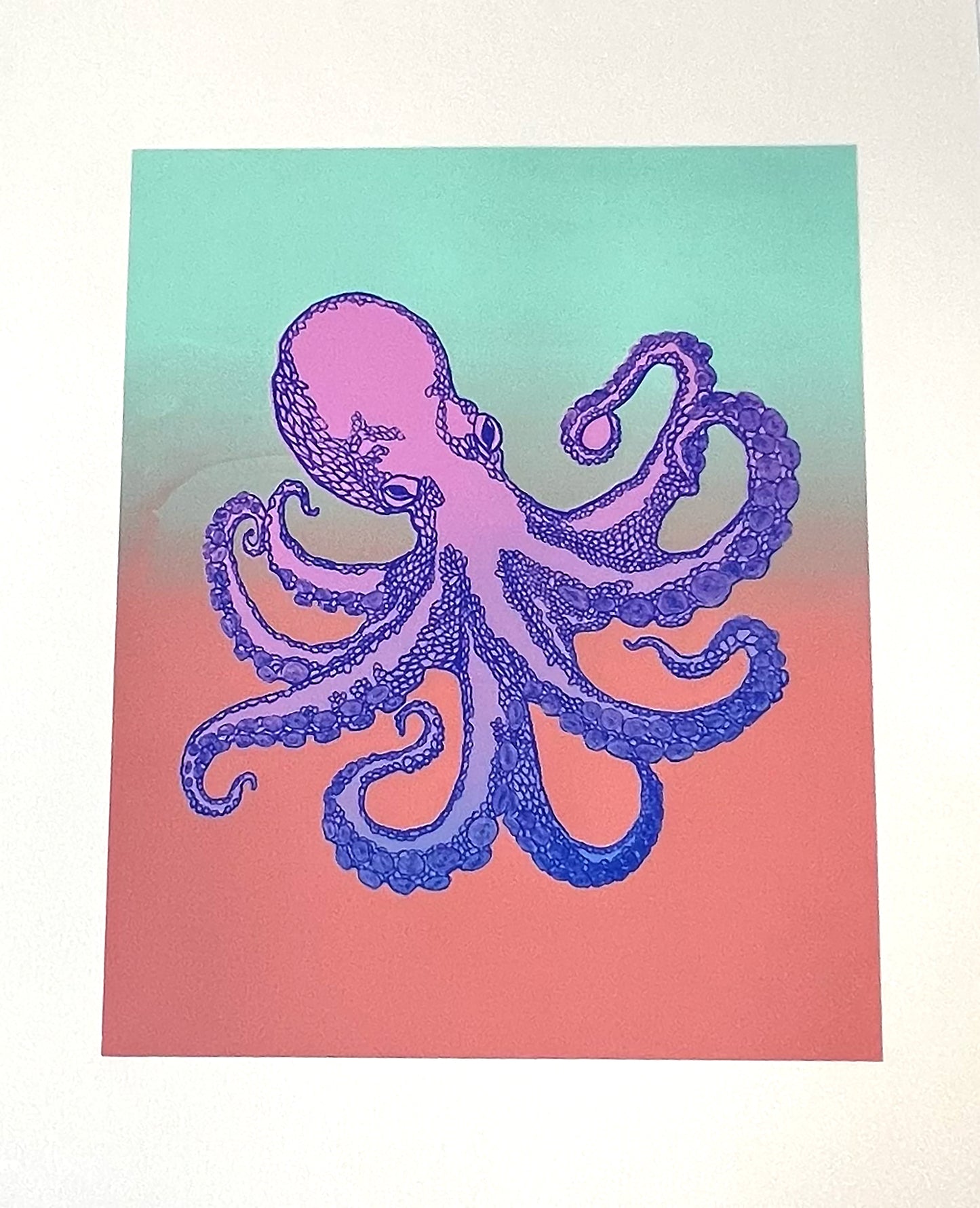 Octopus